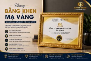 khung bằng khen mạ vàng