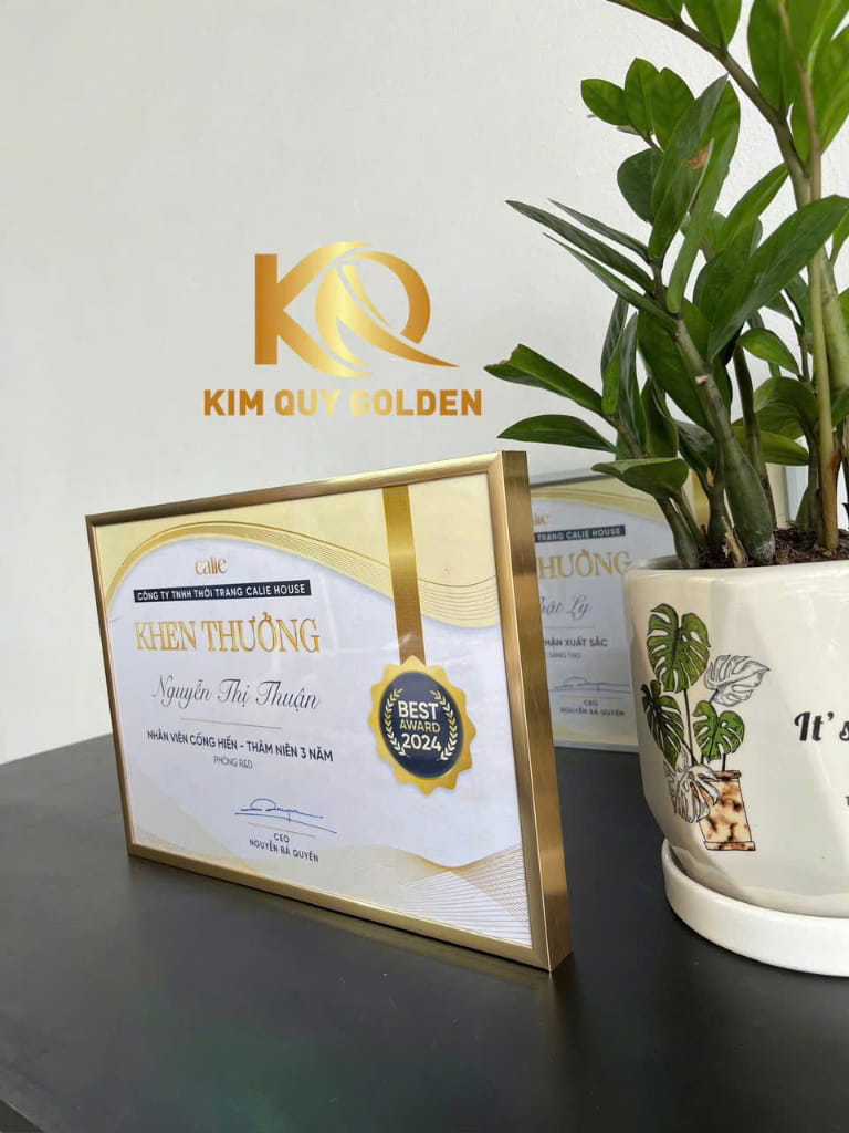 Cách chọn mẫu khung bằng khen mạ vàng